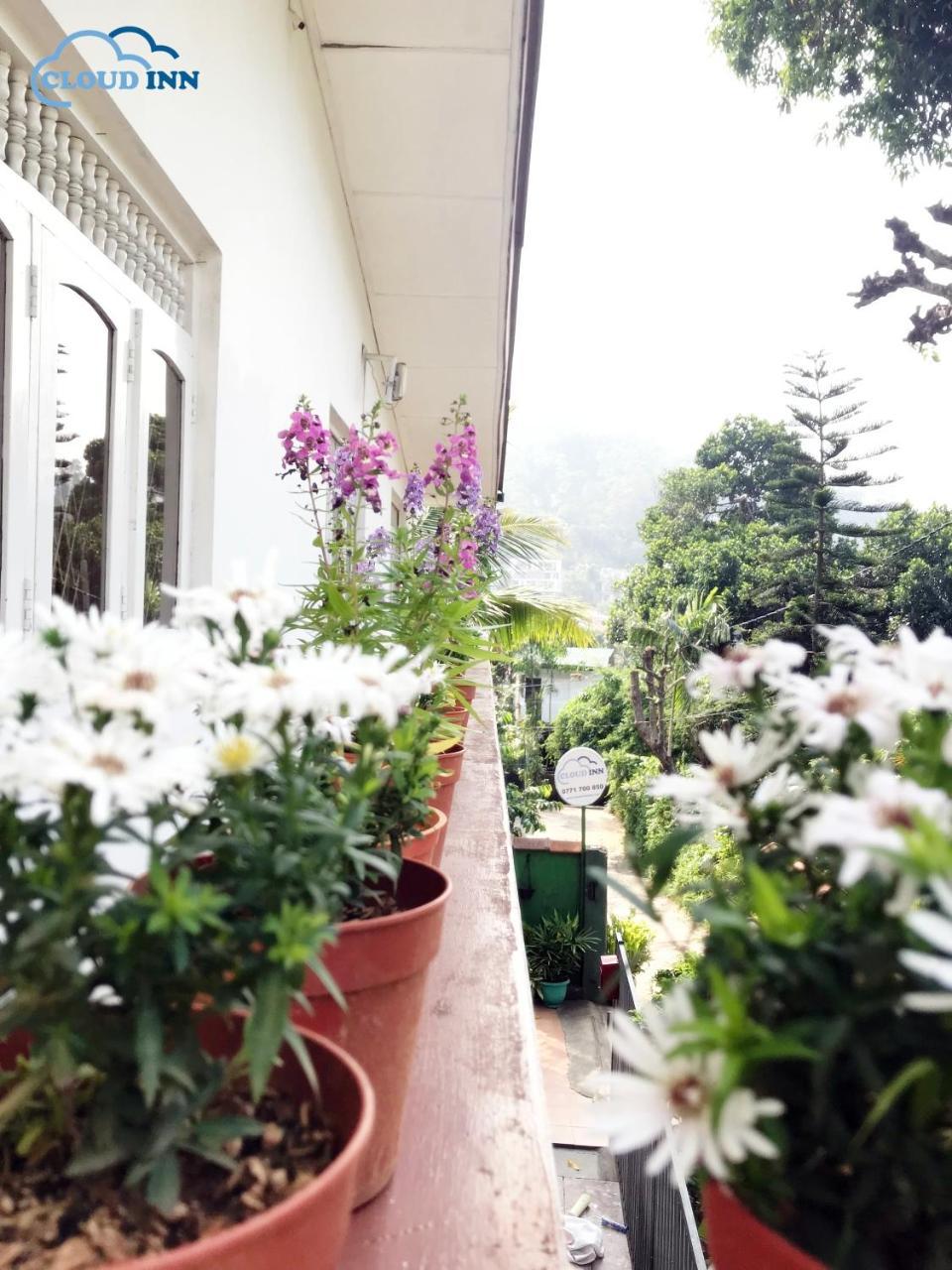 Cloud Inn Kandy Homestay מראה חיצוני תמונה